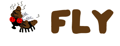FLY